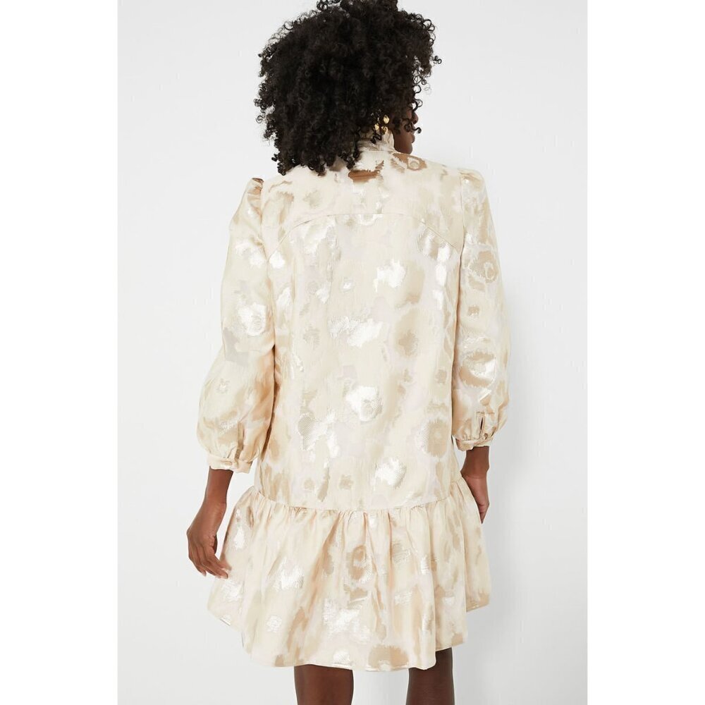 NWT Tuckernuck Champagne Fil Coupe Palmerston Dress - Picture 2 of 5